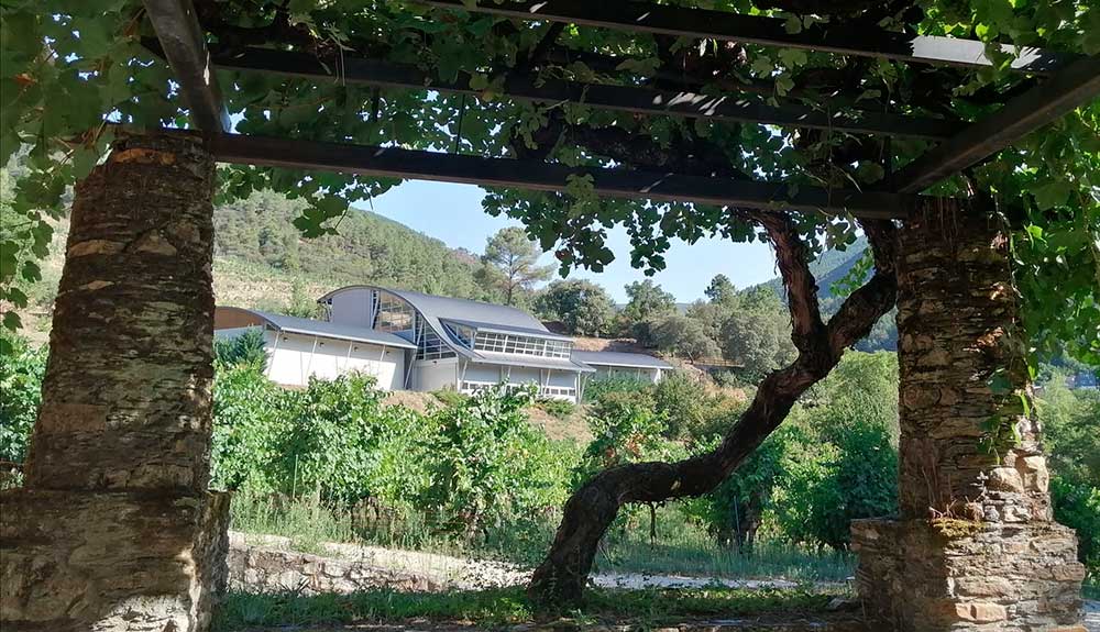 Godeval, fiel a sus raíces